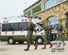 请及时取加强巡查警